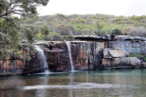 Royal National Park Tour - Tourism Canberra 1