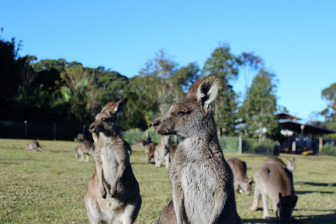 Royal National Park Tour - Tourism Canberra 2