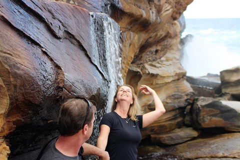 Royal National Park Tour - Tourism Canberra 4