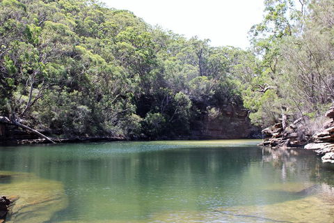 Royal National Park Tour - Tourism Canberra 5