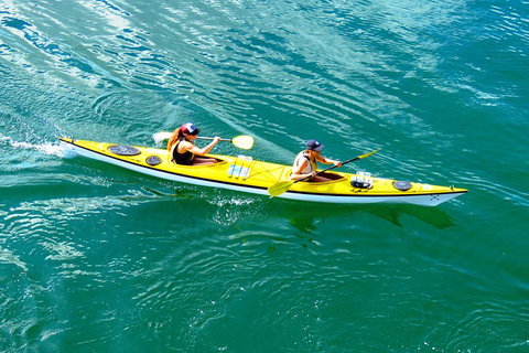 Self-Guided Sydney Middle Harbour Kayak 3 Hour Tour By Double Kayak - Tourism Canberra 1