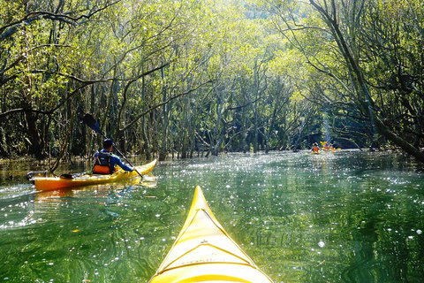 Self-Guided Sydney Middle Harbour Kayak 3 Hour Tour By Double Kayak - Tourism Canberra 3