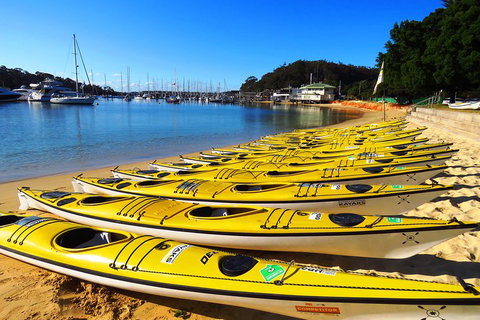 Self-Guided Sydney Middle Harbour Kayak 3 Hour Tour By Double Kayak - Tourism Canberra 4