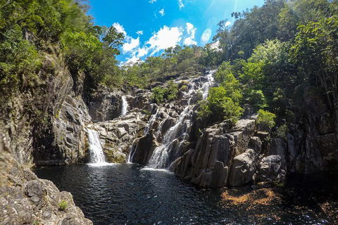 Behana Canyon Rainforest And Waterfall Experience - Tourism Canberra 5