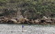 Manly & Sydney's Northern Beaches With 'Personalised Sydney Tours' - thumb 3