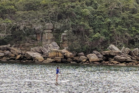Manly & Sydney's Northern Beaches With 'Personalised Sydney Tours' - Tourism Canberra 3