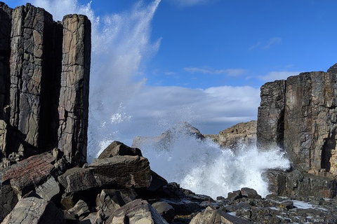 Erupting Blowholes And Ancient Rainforests With 'Personalised Sydney Tours' - Tourism Canberra 0