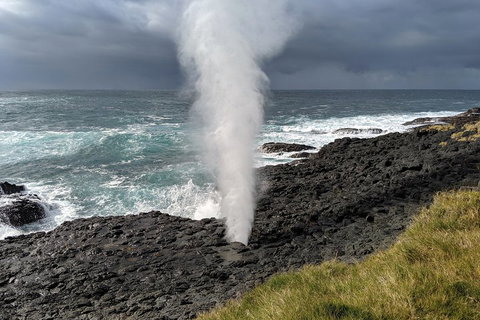 Erupting Blowholes And Ancient Rainforests With 'Personalised Sydney Tours' - Tourism Canberra 1