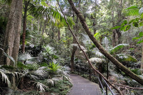 Erupting Blowholes And Ancient Rainforests With 'Personalised Sydney Tours' - Tourism Canberra 2