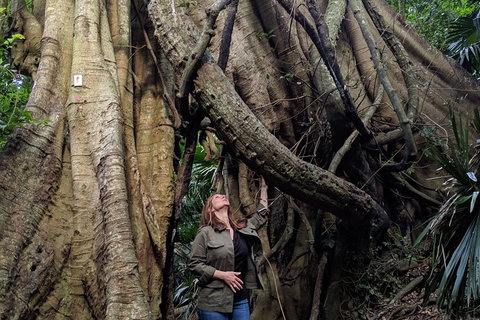 Erupting Blowholes And Ancient Rainforests With 'Personalised Sydney Tours' - Tourism Canberra 4