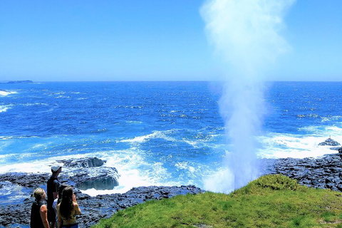 Erupting Blowholes And Ancient Rainforests With 'Personalised Sydney Tours' - Tourism Canberra 5