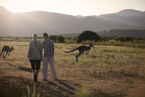 Overnight Daylesford And Macedon Ranges Gourmet Food Trail Tour From Melbourne - Tourism Canberra 1
