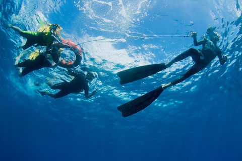 Passions Of Paradise Great Barrier Reef Snorkel And Dive Cruise From Cairns By Luxury Catamaran - Tourism Canberra 2