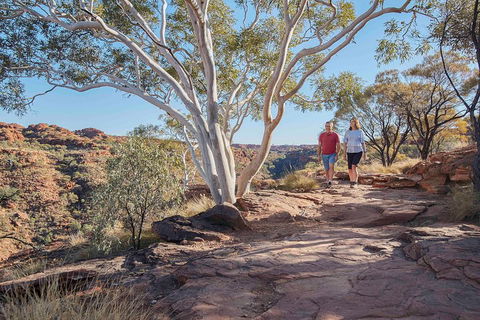 3-Day Tour From Uluru (Ayers Rock) To Alice Springs Via Kings Canyon - Tourism Canberra 1