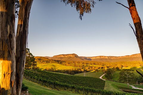 Taste Of The Blue Mountains - Lunch & Wine Tasting, Beer, Cider & Gin Tasting - Tourism Canberra 1