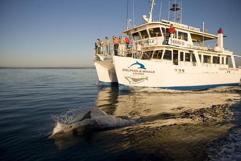 Jervis Bay Dolphin Watch Cruise - Tourism Canberra 3