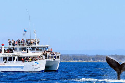 Whale Watching Jervis Bay - Tourism Canberra 4