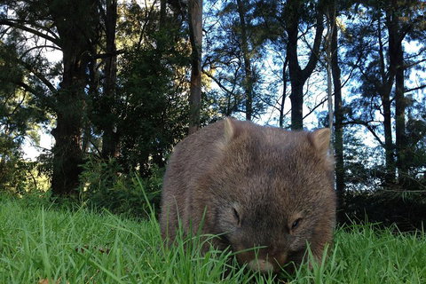From The Mountains To The Bay - 4 Day Rediscovery Private Tour - Tourism Canberra 5