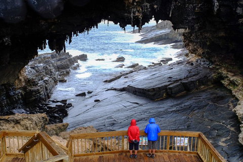Full-Day Kangaroo Island Safari From Penneshaw - Tourism Canberra 1