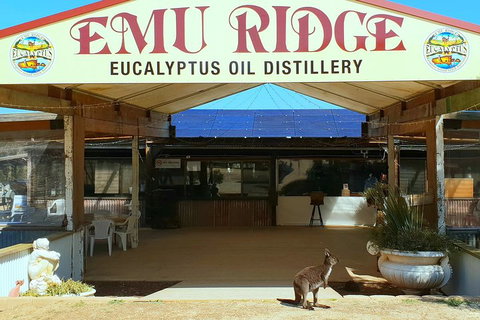 Full-Day Kangaroo Island Safari From Penneshaw - Tourism Canberra 2