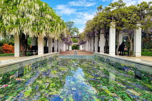 Women's History Walking Tour with Local Guide in Canberra