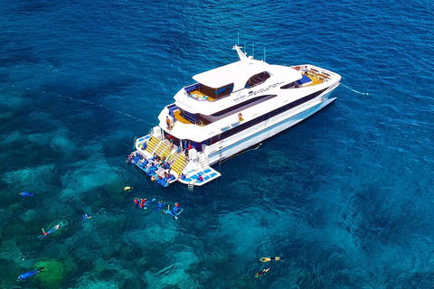 Great Barrier Reef Snorkeling And Diving Cruise From Cairns - Tourism Canberra 5