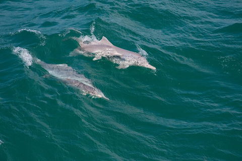 North Stradbroke Island Private Tour With Pickup - Tourism Canberra 0