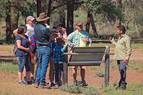 Yura Udnyu - Our Culture, Your Culture (Aboriginal Cultural Walk) - Tourism Canberra 2