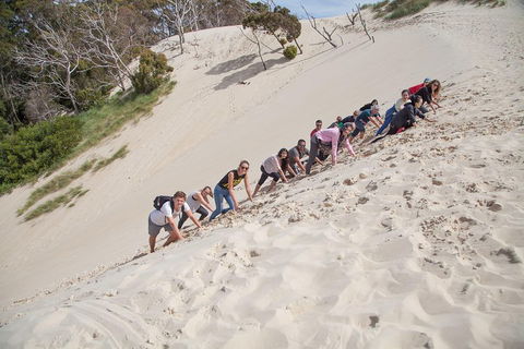 3 Day Tasmanian Wild West Coast Tour From Hobart To Launceston - Tourism Canberra 2