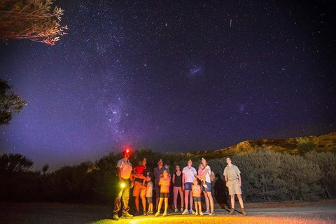 Alice Springs Desert Park Nocturnal Tour - Tourism Canberra 2