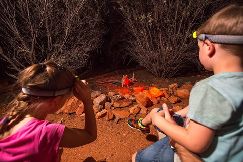 Alice Springs Desert Park Nocturnal Tour - Tourism Canberra 4