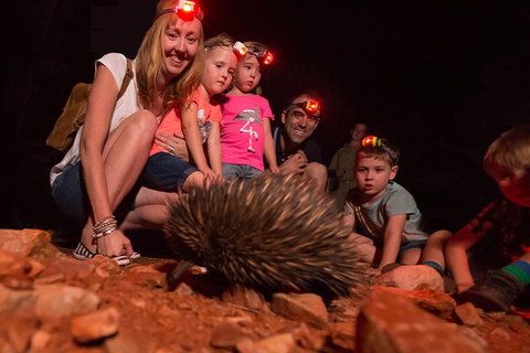 Alice Springs Desert Park Nocturnal Tour - Tourism Canberra 5