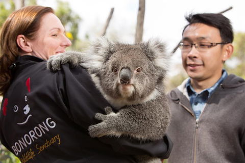 Bonorong Wildlife Park And Richmond Afternoon Tour From Hobart - Tourism Canberra 0
