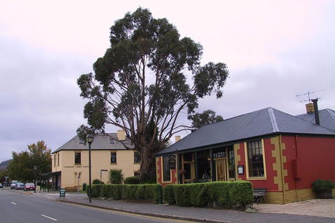 Bonorong Wildlife Park And Richmond Afternoon Tour From Hobart - Tourism Canberra 3