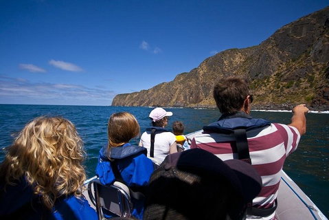 Seal Island Boat Tour From Victor Harbor - Tourism Canberra 0