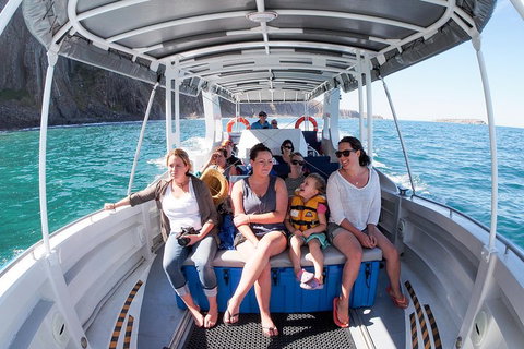 Seal Island Boat Tour From Victor Harbor - Tourism Canberra 1
