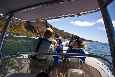 Seal Island Boat Tour From Victor Harbor - Tourism Canberra 2