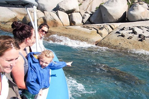 Seal Island Boat Tour From Victor Harbor - Tourism Canberra 4