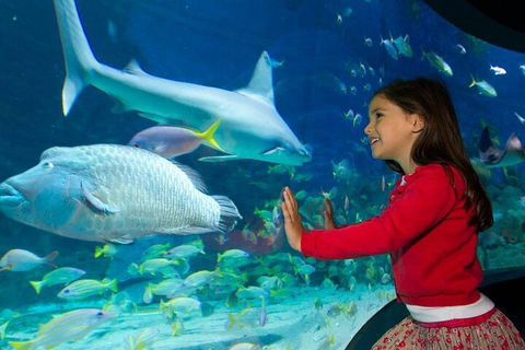 Melbourne BIG Ticket - LEGOLAND Discovery And SEA LIFE Melbourne - Tourism Canberra 1
