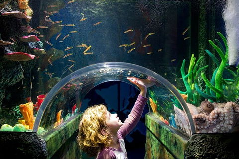 Melbourne BIG Ticket - LEGOLAND Discovery And SEA LIFE Melbourne - Tourism Canberra 2
