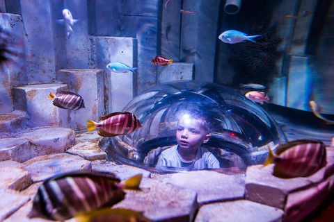 Melbourne BIG Ticket - LEGOLAND Discovery And SEA LIFE Melbourne - Tourism Canberra 5