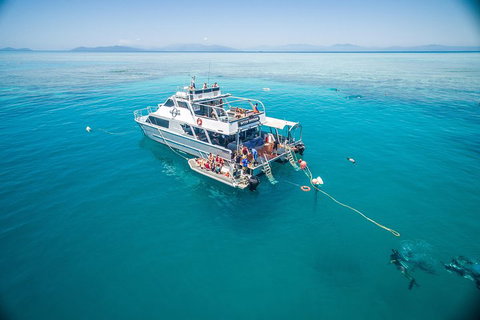 Ocean Freedom Great Barrier Reef Personal Luxury Snorkel & Dive Cruise, Cairns - Tourism Canberra 0