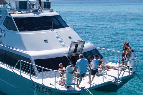 Ocean Freedom Great Barrier Reef Personal Luxury Snorkel & Dive Cruise, Cairns - Tourism Canberra 1