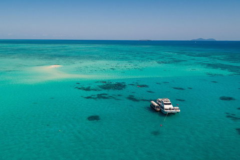 Ocean Freedom Great Barrier Reef Personal Luxury Snorkel & Dive Cruise, Cairns - Tourism Canberra 2