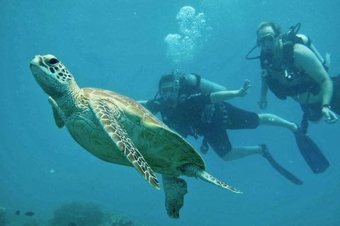 Ocean Freedom Great Barrier Reef Personal Luxury Snorkel & Dive Cruise, Cairns - Tourism Canberra 4