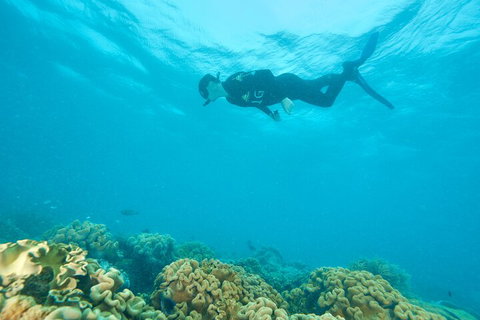 Ocean Freedom Great Barrier Reef Personal Luxury Snorkel & Dive Cruise, Cairns - Tourism Canberra 5