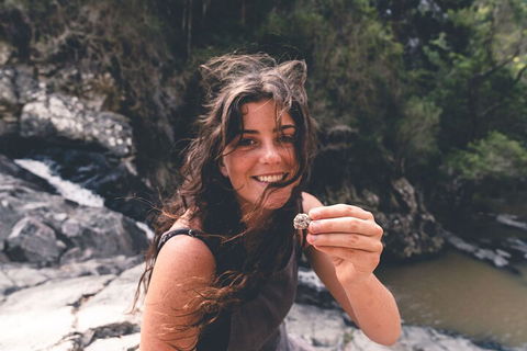 Springbrook AndTamborine Rainforest Tour Incl Natural Bridge And Glow Worm Cave - Tourism Canberra 1