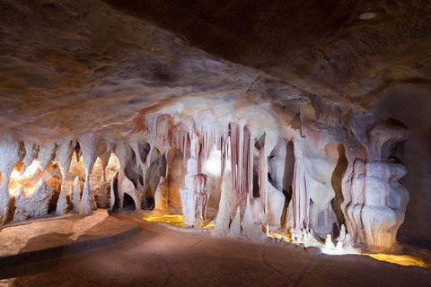 Springbrook AndTamborine Rainforest Tour Incl Natural Bridge And Glow Worm Cave - Tourism Canberra 4