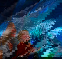 SEA LIFE Sunshine Coast Aquarium Entrance Ticket - Tourism Canberra