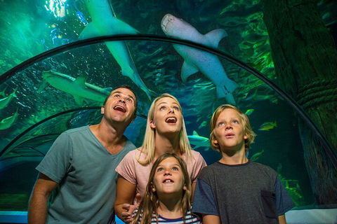 SEA LIFE Sunshine Coast Aquarium Entrance Ticket - Tourism Canberra 3